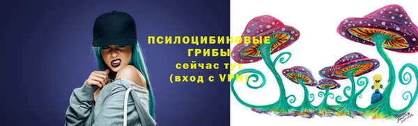 стафф Зеленодольск