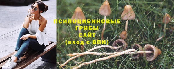 стафф Зеленодольск