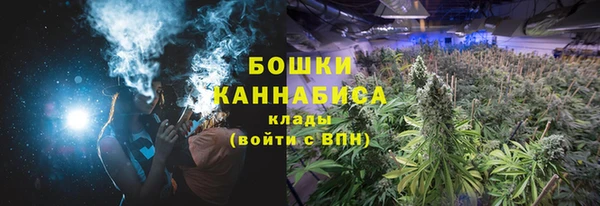 2c-b Иннополис